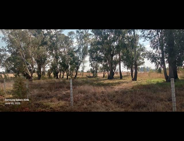 LAND FOR SALE IN ELOFF